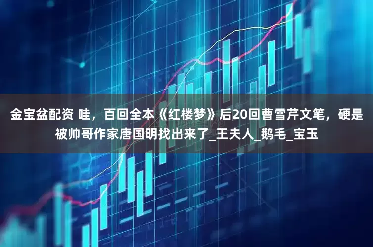 金宝盆配资 哇，百回全本《红楼梦》后20回曹雪芹文笔，硬是被帅哥作家唐国明找出来了_王夫人_鹅毛_宝玉