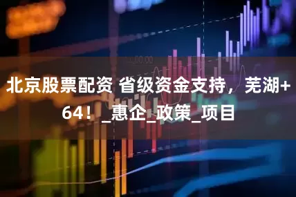 北京股票配资 省级资金支持，芜湖+64！_惠企_政策_项目