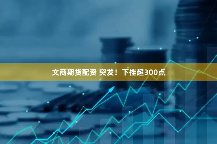 文商期货配资 突发！下挫超300点
