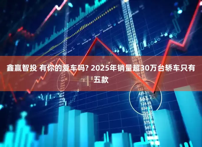 鑫赢智投 有你的爱车吗? 2025年销量超30万台轿车只有五款