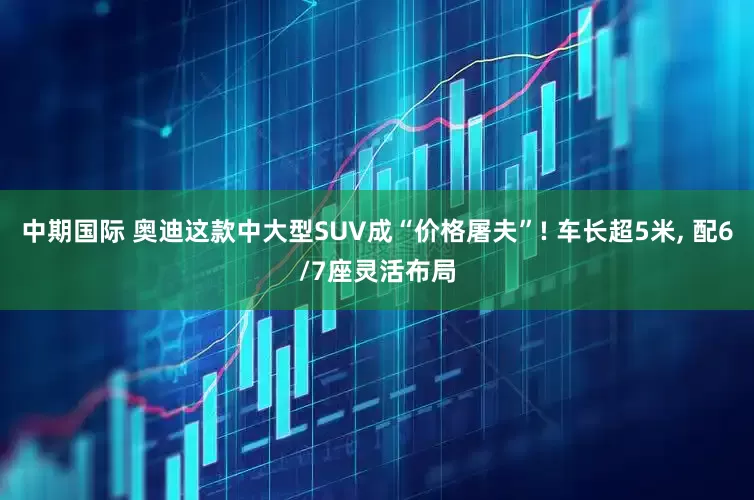 中期国际 奥迪这款中大型SUV成“价格屠夫”! 车长超5米, 配6/7座灵活布局