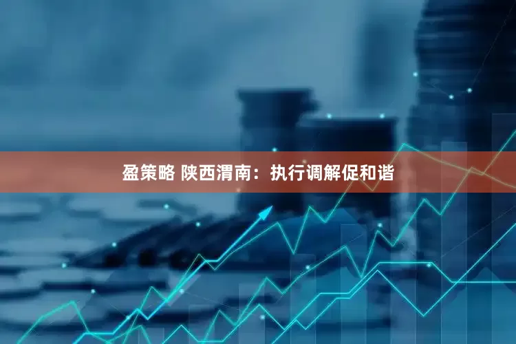 盈策略 陕西渭南：执行调解促和谐